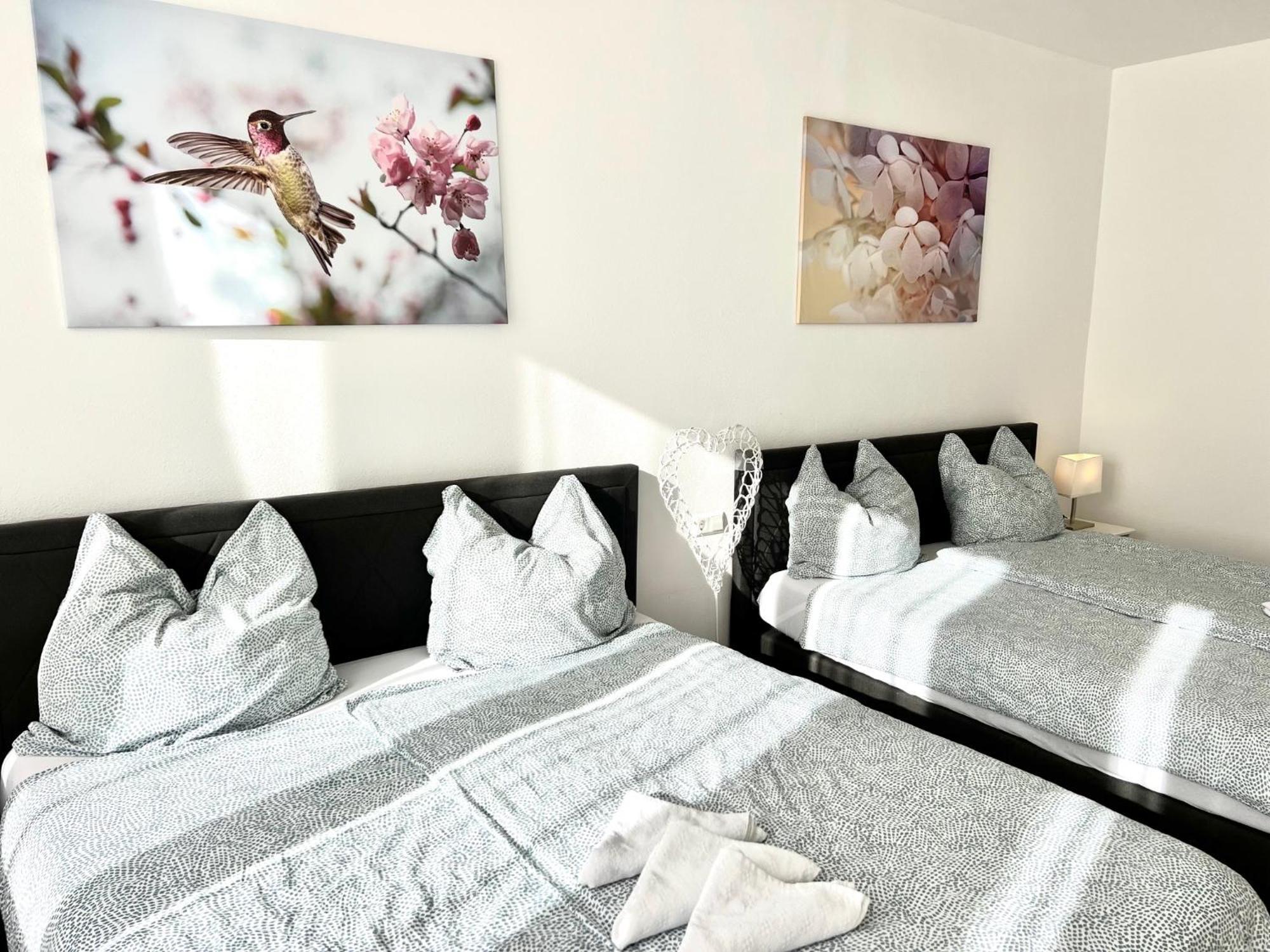 City Appartement Kueche,Bad, Parken Im Zentrum Von Ravensburg Rom bilde